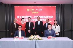 人类组织能源、机械和工场