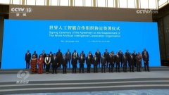 集纳了跨越100万个计较单位的芯